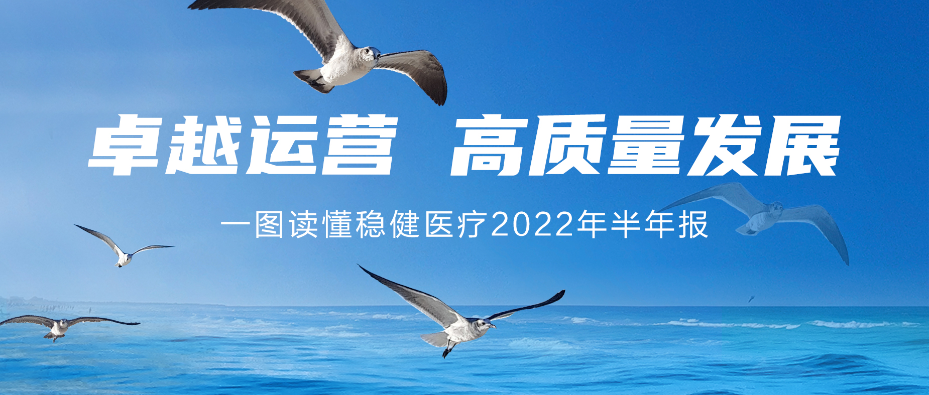 一图读懂华体会hth医疗2022年半年报